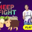 Let's Get Ready for a Sheep Fight Game