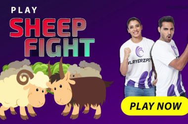 Let's Get Ready for a Sheep Fight Game