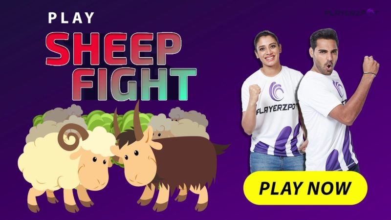 Let's Get Ready for a Sheep Fight Game